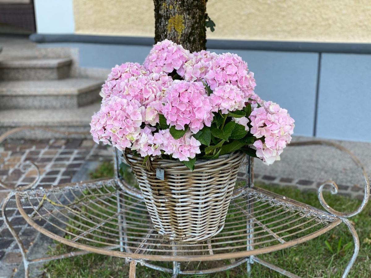 Almtalhotel Appartements In Pettenbach Kültér fotó